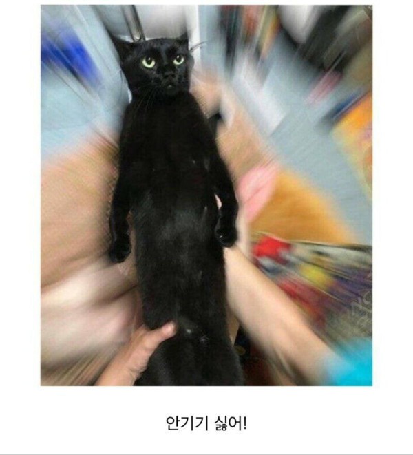 17514474968698.orig