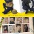 경찰수업.E12.1080p.WEBRip.AAC2.0.x264-AppleTor