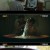 키마이라.E06.211114.720p-NEXT