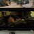 그린마더스클럽.E07.220427.720p-NEXT