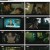 스틸러 일곱 개의 조선통보.E02.230413.1080p.H264-F1RST