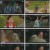 조선변호사.E06.230415.1080p.H264-F1RST