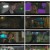 판도라 조작된 낙원.E12.230416.1080p.H264-F1RST