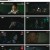 스틸러 일곱 개의 조선통보.E04.230420.1080p.H264-F1RST