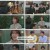 비밀의 여자.E41.230510.1080p.H264-F1RST