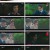 구미호뎐1938.E08.230528.1080p.H264-F1RST