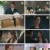비밀의 여자.E57.230601.1080p.H264-F1RST