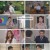 비밀의 여자.E65.230613.1080p.H264-F1RST