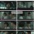 기적의 형제.E02.230629.1080p.H264-F1RST