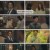 아씨두리안.E07.230715.1080p.H264-F1RST