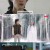 경이로운 소문2 - 카운터 펀치.E12.230903.720p-NEXT