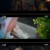 오늘도 사랑스럽개.E10.231213.1080p-NEXT