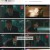 웨딩 임파서블.E11.240401.1080p.H264-F1RST