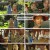 강희암행록.E08.240404.1080p.H264-F1RST