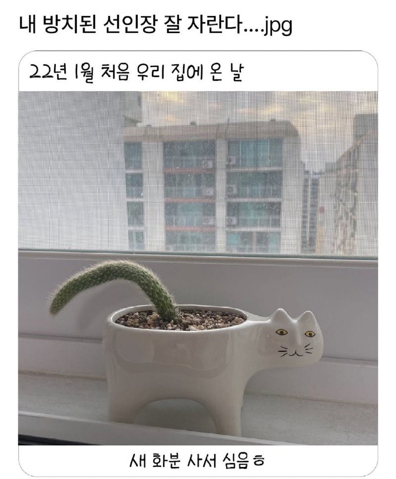 17535881945928.jpg