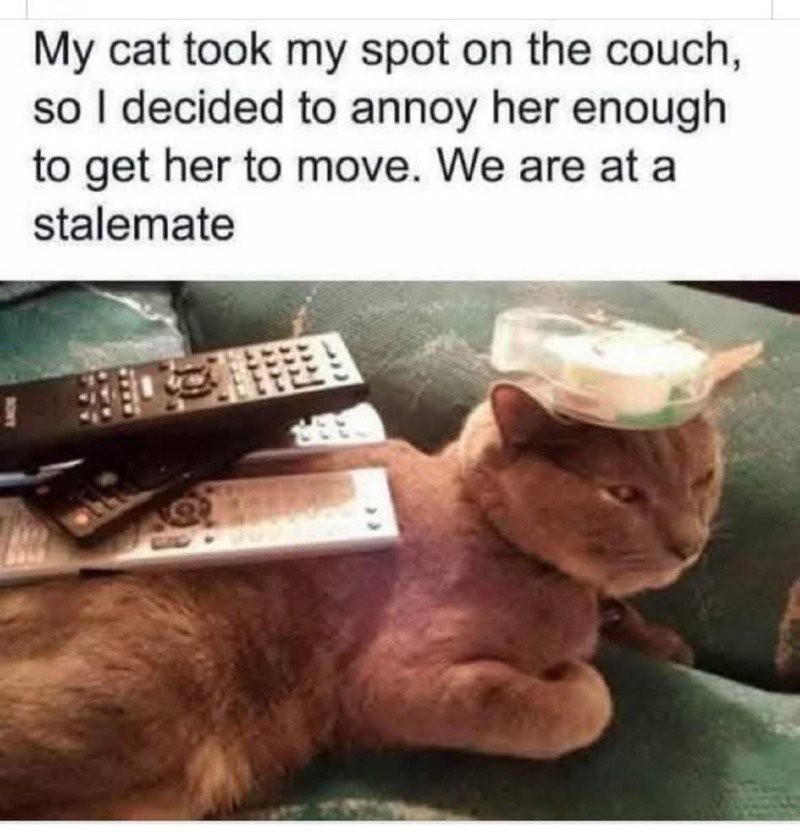 17537873932588.jpg